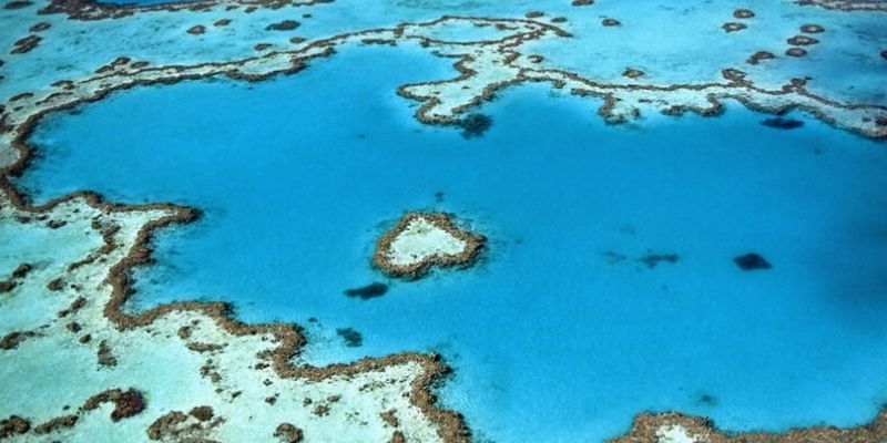 La grande barrière de corail